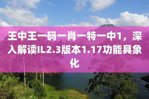 王中王一码一肖一特一中1，深入解读IL2.3版本1.17功能具象化
