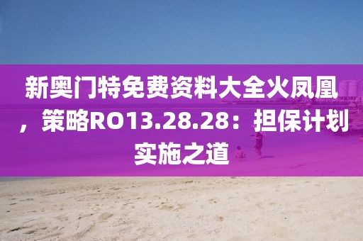 新奥门特免费资料大全火凤凰，策略RO13.28.28：担保计划实施之道
