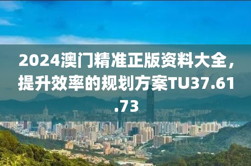 2024澳门精准正版资料大全，提升效率的规划方案TU37.61.73