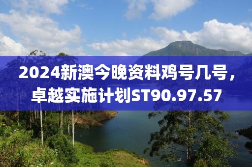 2024新澳今晚资料鸡号几号，卓越实施计划ST90.97.57