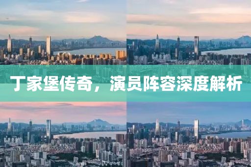 丁家堡传奇，演员阵容深度解析