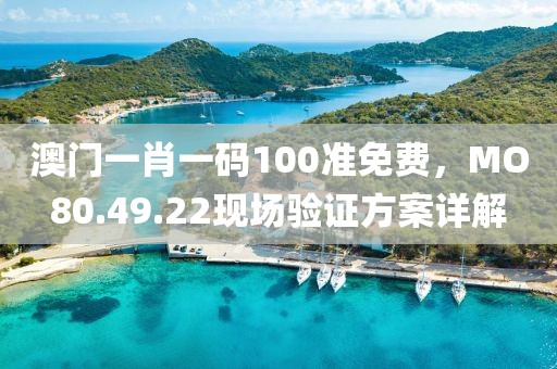 澳门一肖一码100准免费，MO80.49.22现场验证方案详解