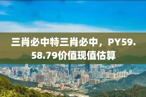三肖必中特三肖必中，PY59.58.79价值现值估算