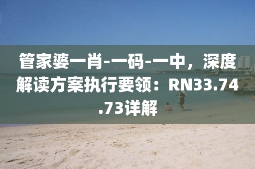 管家婆一肖-一码-一中，深度解读方案执行要领：RN33.74.73详解