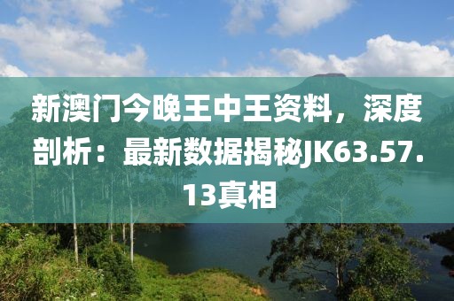 新澳门今晚王中王资料，深度剖析：最新数据揭秘JK63.57.13真相