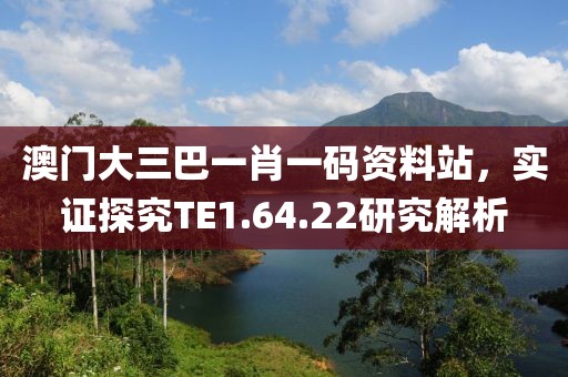 澳门大三巴一肖一码资料站，实证探究TE1.64.22研究解析