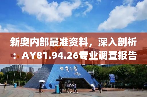 新奥内部最准资料，深入剖析：AY81.94.26专业调查报告
