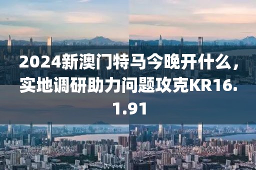 2024新澳门特马今晚开什么，实地调研助力问题攻克KR16.1.91