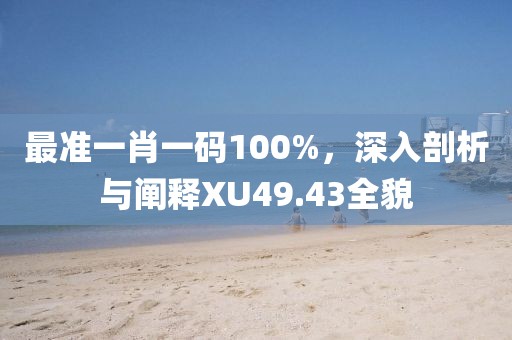 最准一肖一码100%，深入剖析与阐释XU49.43全貌