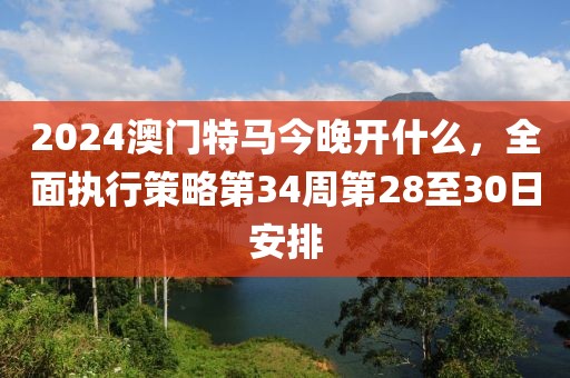 2024澳门特马今晚开什么，全面执行策略第34周第28至30日安排
