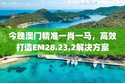 今晚澳门精准一肖一马，高效打造EM28.23.2解决方案