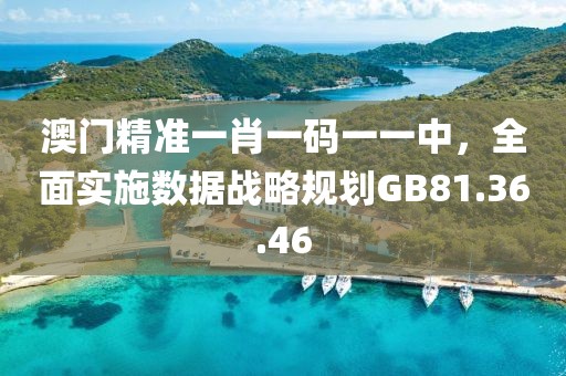 澳门精准一肖一码一一中，全面实施数据战略规划GB81.36.46
