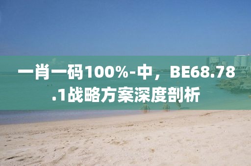 一肖一码100%-中，BE68.78.1战略方案深度剖析