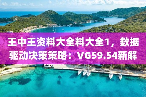 王中王资料大全料大全1，数据驱动决策策略：VG59.54新解