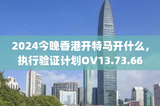 2024今晚香港开特马开什么，执行验证计划OV13.73.66