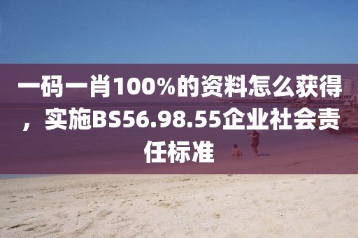 一码一肖100%的资料怎么获得，实施BS56.98.55企业社会责任标准