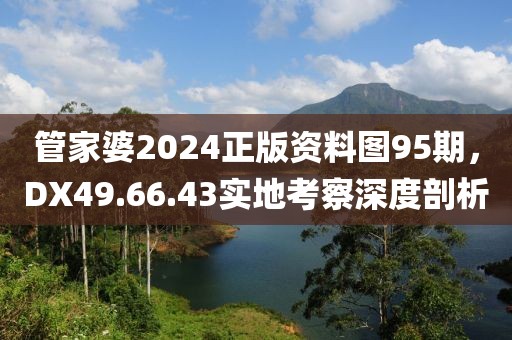 管家婆2024正版资料图95期，DX49.66.43实地考察深度剖析