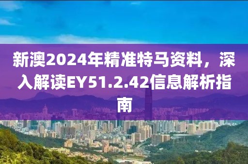 新澳2024年精准特马资料，深入解读EY51.2.42信息解析指南