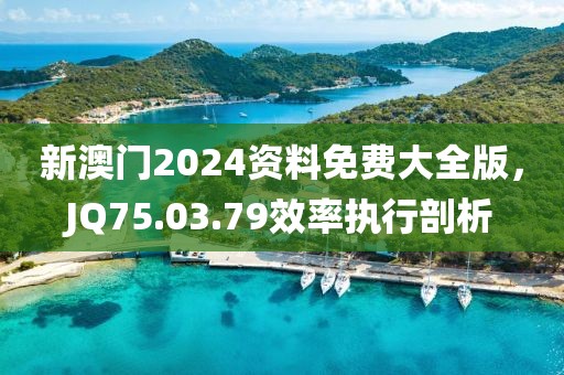 新澳门2024资料免费大全版，JQ75.03.79效率执行剖析