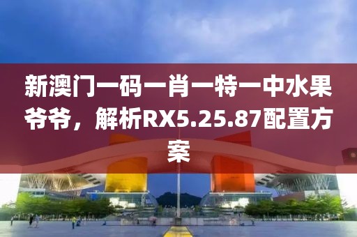 新澳门一码一肖一特一中水果爷爷，解析RX5.25.87配置方案