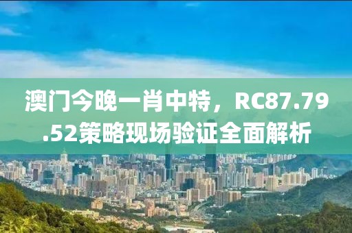 澳门今晚一肖中特，RC87.79.52策略现场验证全面解析