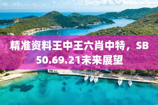精准资料王中王六肖中特，SB50.69.21未来展望
