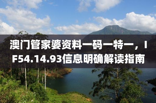 澳门管家婆资料一码一特一，IF54.14.93信息明确解读指南