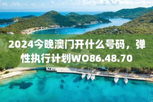 2024今晚澳门开什么号码，弹性执行计划WO86.48.70