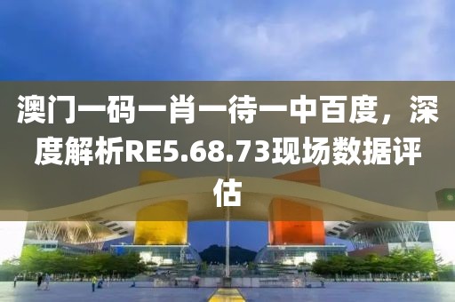 澳门一码一肖一待一中百度，深度解析RE5.68.73现场数据评估