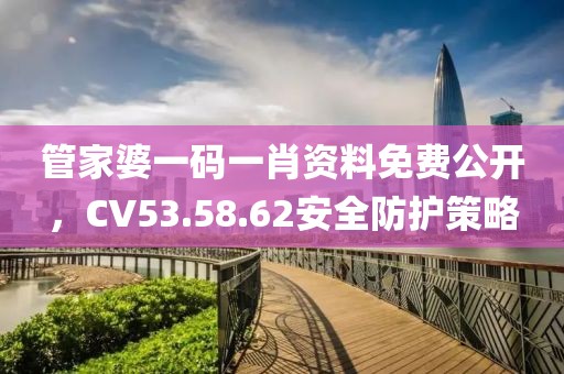 管家婆一码一肖资料免费公开，CV53.58.62安全防护策略