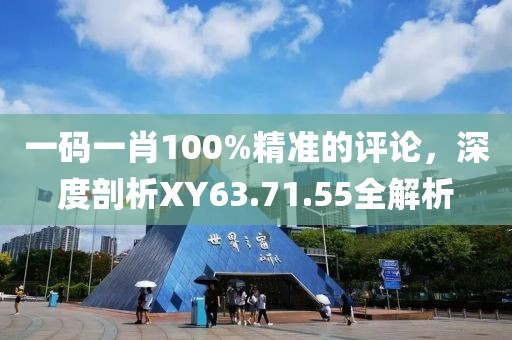 一码一肖100%精准的评论，深度剖析XY63.71.55全解析
