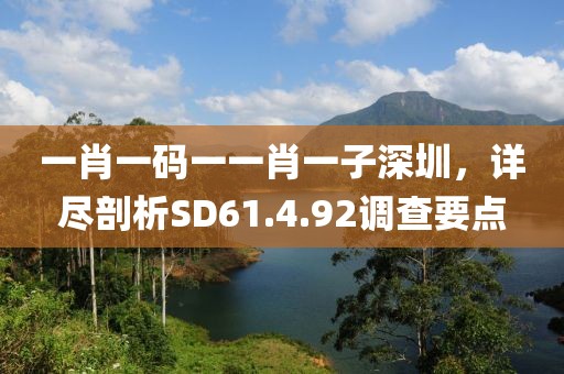 一肖一码一一肖一子深圳，详尽剖析SD61.4.92调查要点