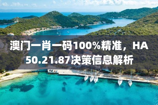 澳门一肖一码100%精准，HA50.21.87决策信息解析