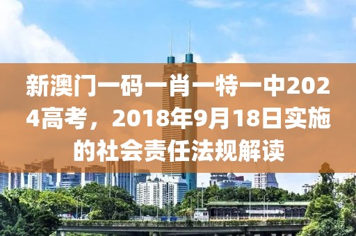 新澳门一码一肖一特一中2024高考，2018年9月18日实施的社会责任法规解读