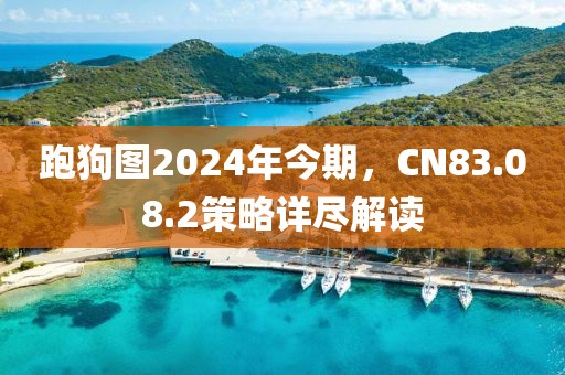 跑狗图2024年今期，CN83.08.2策略详尽解读