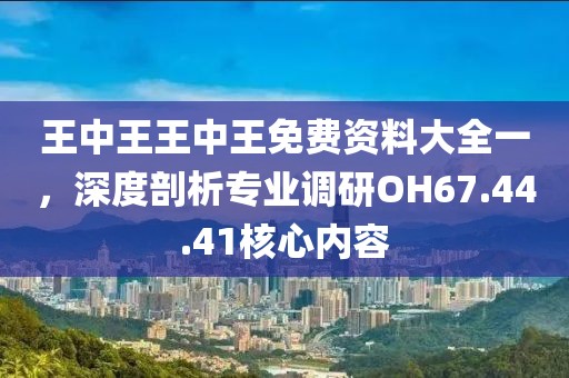 王中王王中王免费资料大全一，深度剖析专业调研OH67.44.41核心内容