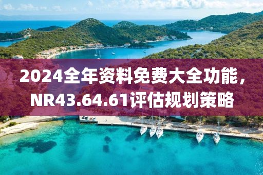 2024全年资料免费大全功能，NR43.64.61评估规划策略