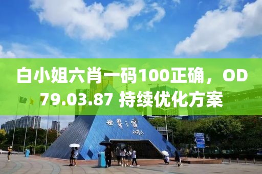 白小姐六肖一码100正确，OD79.03.87 持续优化方案