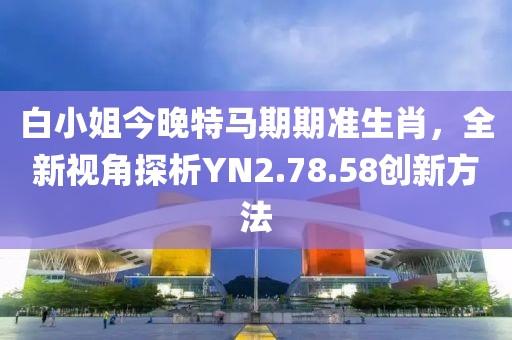 白小姐今晚特马期期准生肖，全新视角探析YN2.78.58创新方法