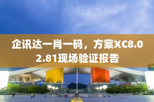 企讯达一肖一码，方案XC8.02.81现场验证报告
