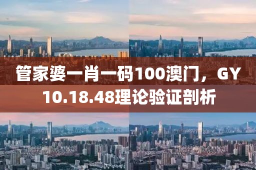 管家婆一肖一码100澳门，GY10.18.48理论验证剖析