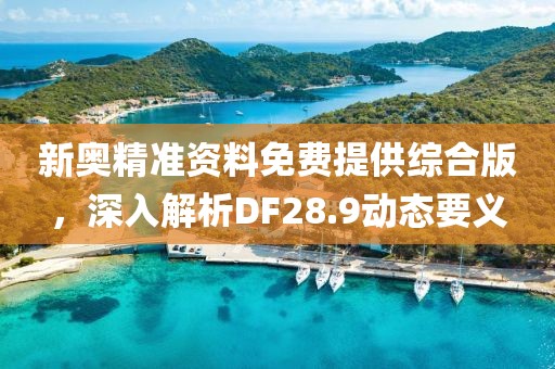 新奥精准资料免费提供综合版，深入解析DF28.9动态要义