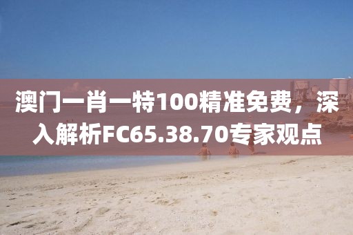 澳门一肖一特100精准免费，深入解析FC65.38.70专家观点