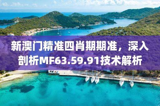 新澳门精准四肖期期准，深入剖析MF63.59.91技术解析