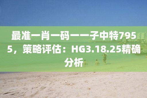 最准一肖一码一一子中特7955，策略评估：HG3.18.25精确分析