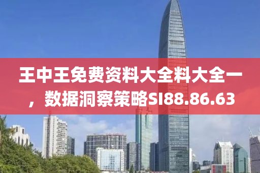 王中王免费资料大全料大全一，数据洞察策略SI88.86.63
