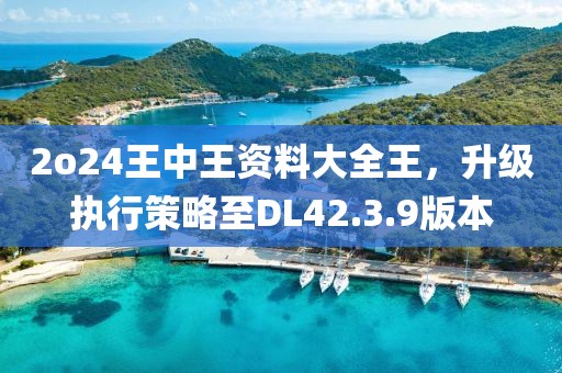 2o24王中王资料大全王，升级执行策略至DL42.3.9版本