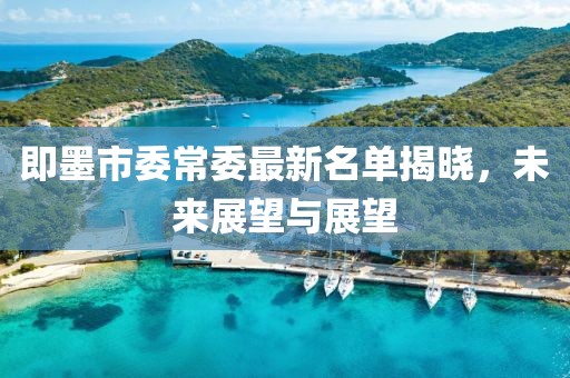 即墨市委常委最新名单揭晓，未来展望与展望