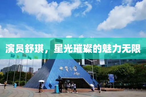 演员舒琪，星光璀璨的魅力无限