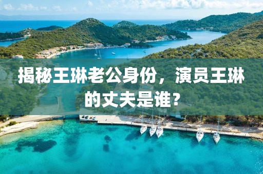 揭秘王琳老公身份，演员王琳的丈夫是谁？